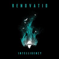 Into the Summer - Intelligency