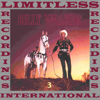 I'll Never Stand In Your Way - Billy Walker