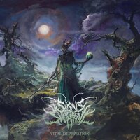 Lost Within Reflection - Signs of the Swarm