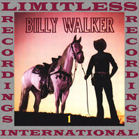 Alcohol Love - Billy Walker