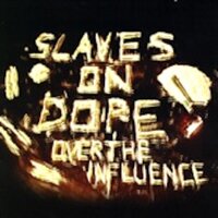 Burn the Evidence - Slaves On Dope
