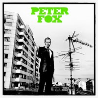 Der letzte Tag - Peter Fox
