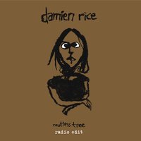 Rootless Tree - Damien Rice