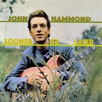 Dust My Broom - John Hammond