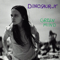 How'd You Pin That One On Me - Dinosaur Jr.