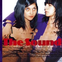 Tony The Beat (Push It) - The Sounds