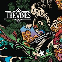 Landslide - The Vines