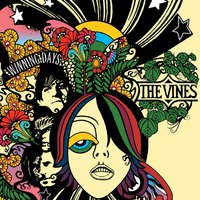 Autumn Shade II - The Vines