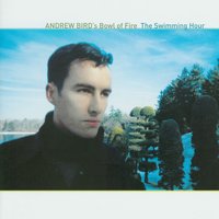 Waiting to Talk - Andrew Bird