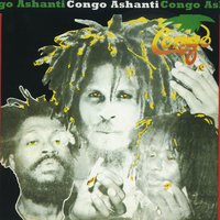 Thief Is In The Vineyard - The Congos
