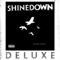 I Own You - Shinedown