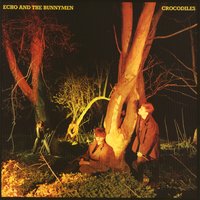 Simple Stuff - Echo & the Bunnymen