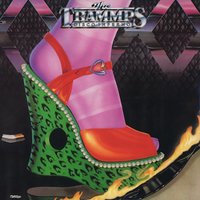 Body Contact Contract - The Trammps