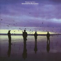 Broke My Neck - Echo & the Bunnymen