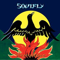 Terrorist - Soulfly