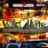 Wild 2 Nite Remix - Shaggy, Olivia