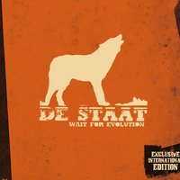 Wait For Evolution - De Staat