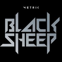 Black Sheep - Metric