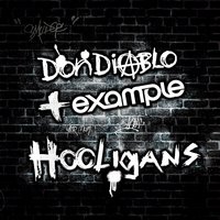 Hooligans (Extended Dub) - Don Diablo, Example