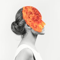 Let Fall the Curtain - Agent Fresco