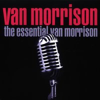 Chick-A Boom - Van Morrison