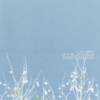 The Past and Pending - the Shins