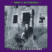 Fiend Before The Shrine - Robyn Hitchcock