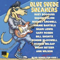 Blue Suede Shoes - Ronnie McDowell