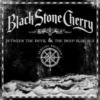 Won't Let Go - Black Stone Cherry