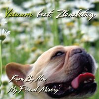Know By Now - Vacuum feat. Zlanabitnig, Vacuum, Zlanabitnig