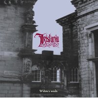 Wasteland`s Caress - Tristania