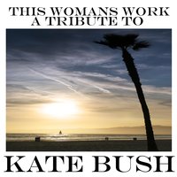 Never Be Mine - (Tribute to Kate Bush) - Studio Union