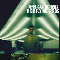 The Good Rebel - Noel Gallagher's High Flying Birds