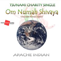 Om Numah Shivaya - Apache Indian