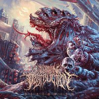 Deathwish - Within Destruction