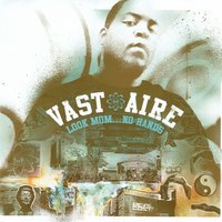 Viewtiful Flow - Vast Aire