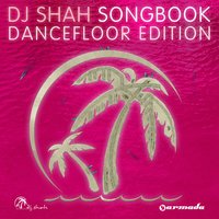 Now Or Never - Dj Shah, Aruna