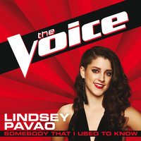 Somebody That I Used To Know - Lindsey Pavao