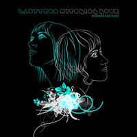 Nothing to Hide - Ladytron