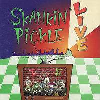 Ice Cube Korea Wants A Word With You - Skankin' Pickle