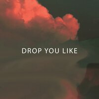 Drop You Like - Delax