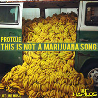 This Is Not a Marijuana Song - Protoje