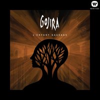 Pain Is a Master - Gojira