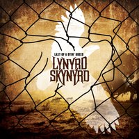 Sad Song - Lynyrd Skynyrd