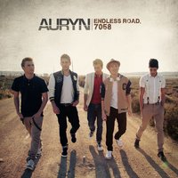 Don't Give Up My Game - Auryn
