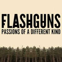 Sounds of the Forest - Flashguns