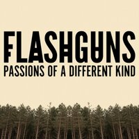 No Point Hanging Around - Flashguns