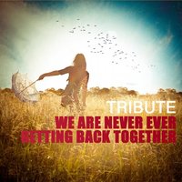 We Are Never Ever Getting Back Together (Taylor Swift Tribute) - The Dream Team