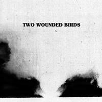 Together Forever - Two Wounded Birds