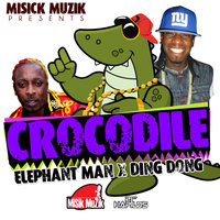 Crocodile - Elephant man, Ding Dong